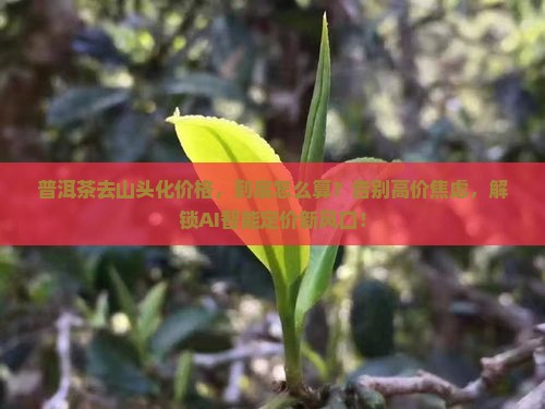 普洱茶去山头化价格