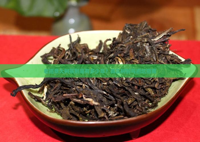 老班章大树茶大概是多少年