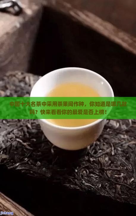 中国十大名茶中采用茶果间作种