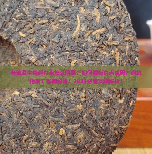 老普洱生茶起白点