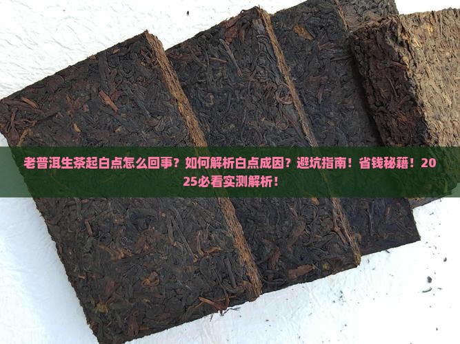 老普洱生茶起白点