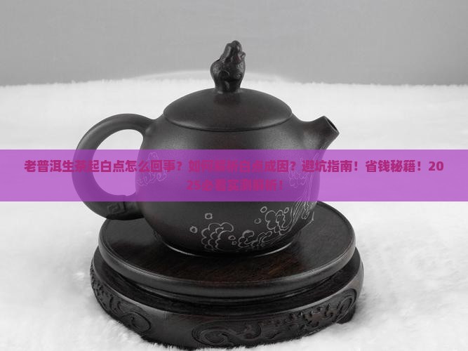 老普洱生茶起白点