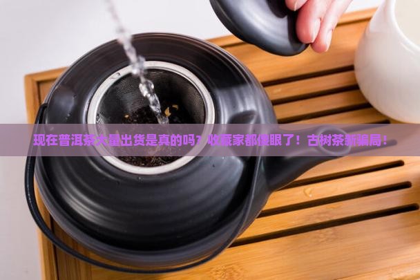 现在普洱茶大量出货是真的吗