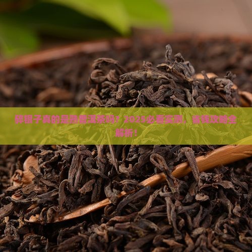 碎银子是熟普洱茶