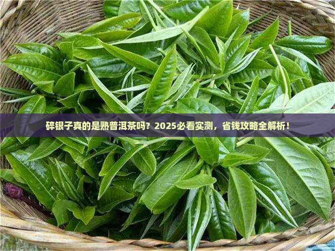 碎银子是熟普洱茶