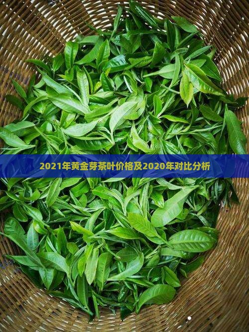 2021年黄金芽茶叶价格