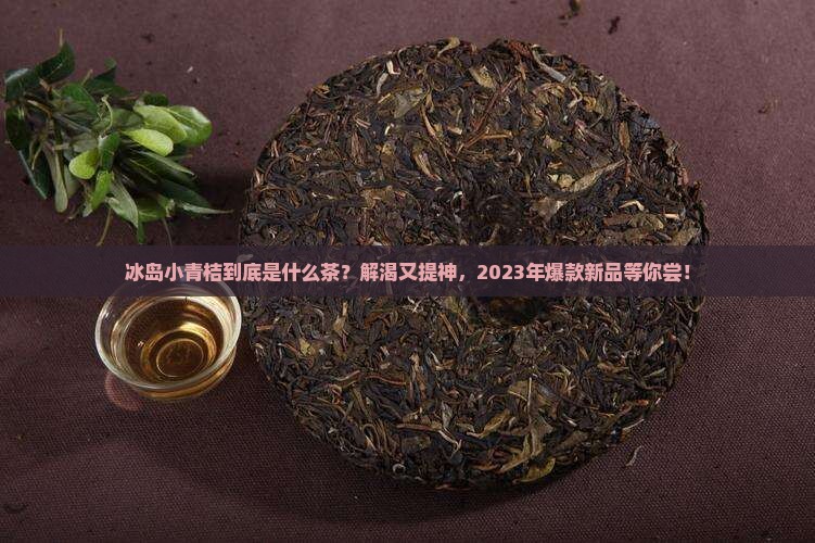 冰岛小青桔是什么茶