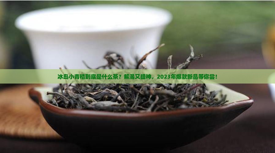 冰岛小青桔是什么茶
