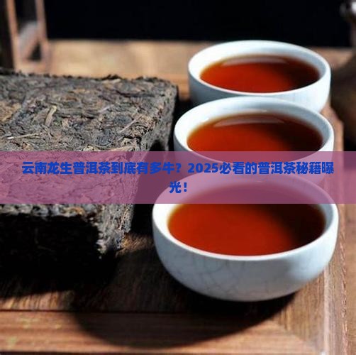 云南龙生普洱茶有限公司