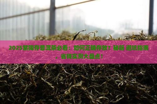 紫陶如何存放普洱茶