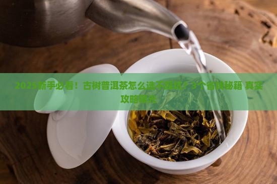 古树普洱茶怎么选好