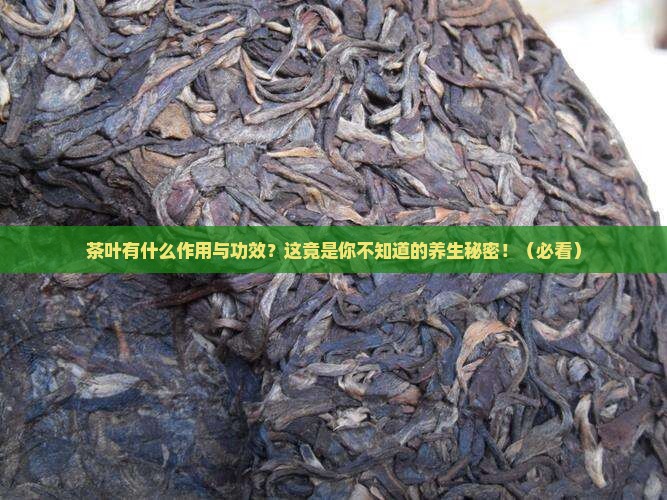 茶叶有什么作用与功效茶叶好处多