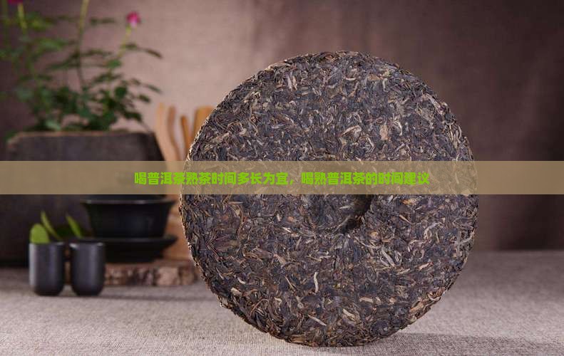 喝普洱茶熟茶时间多长为宜