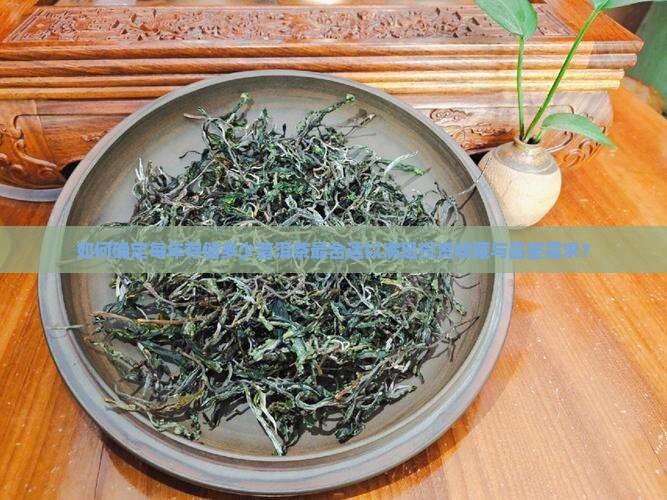 如何确定每年存储多少普洱茶最合适以满足投资收藏与品鉴需求？