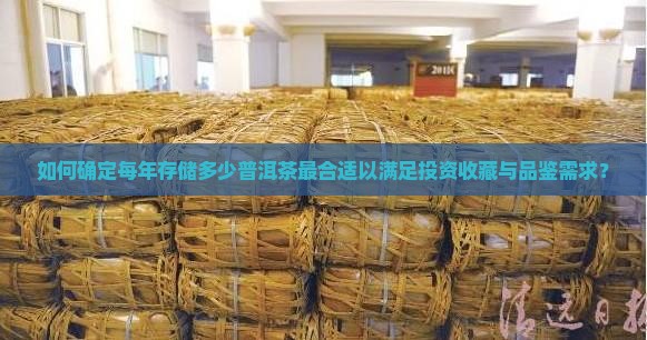 如何确定每年存储多少普洱茶最合适以满足投资收藏与品鉴需求？