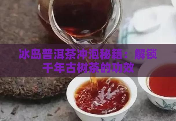冰岛普洱茶冲泡秘籍：解锁千年古树茶的功效
