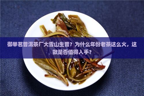 御举茗普洱茶厂大雪山生普？为什么年份老茶这么火，这款是否值得入手？