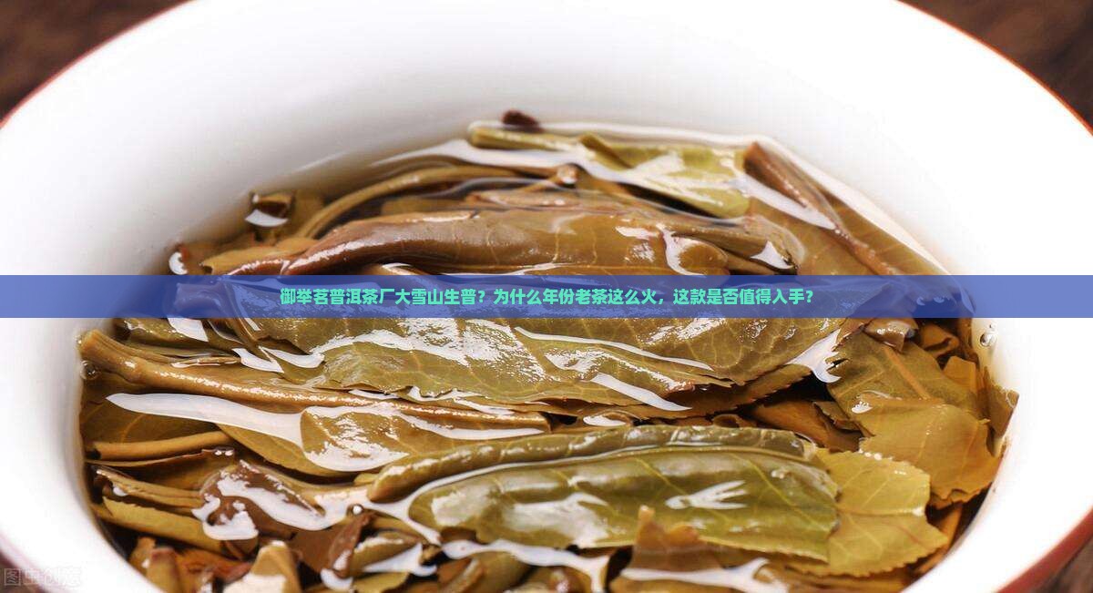 御举茗普洱茶厂大雪山生普？为什么年份老茶这么火，这款是否值得入手？