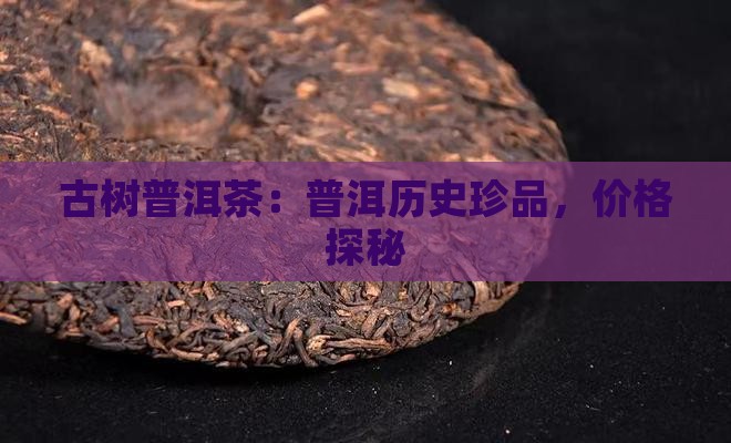 古树普洱茶：普洱历史珍品，价格探秘