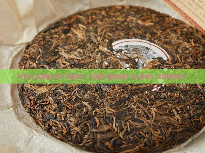 天士力普洱茶过期了能喝吗？过期的普洱茶有什么影响？该如何处理？
