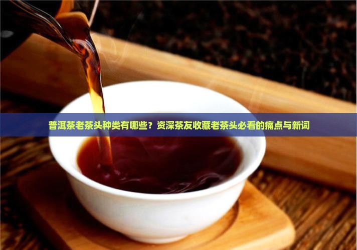 普洱茶老茶头种类有哪些？资深茶友收藏老茶头必看的痛点与新词