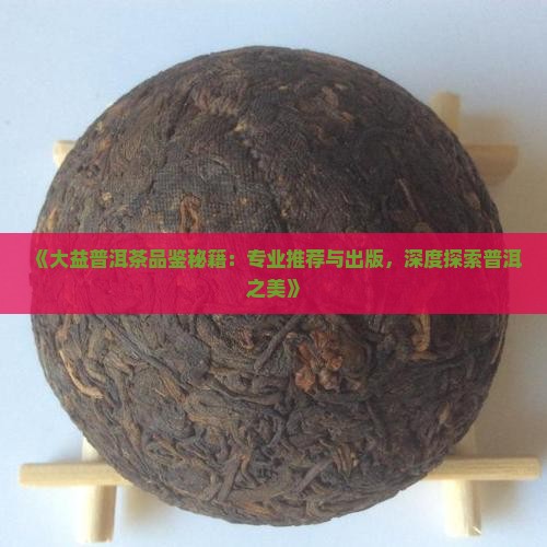 《大益普洱茶品鉴秘籍：专业推荐与出版，深度探索普洱之美》