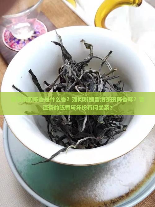 普洱茶的陈香是什么香？如何辨别普洱茶的陈香味？普洱茶的陈香与年份有何关系？