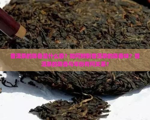 普洱茶的陈香是什么香？如何辨别普洱茶的陈香味？普洱茶的陈香与年份有何关系？