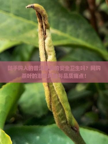 随手购入的普洱茶真的安全卫生吗？网购茶叶的潜在风险与品质痛点！