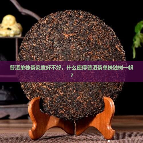 普洱单株茶究竟好不好，什么使得普洱茶单株独树一帜？