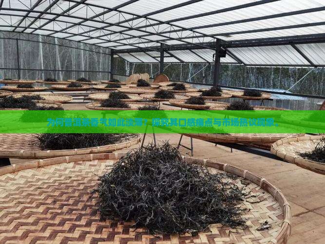 为何普洱茶香气如此淡薄？探究其口感痛点与市场热议现象。