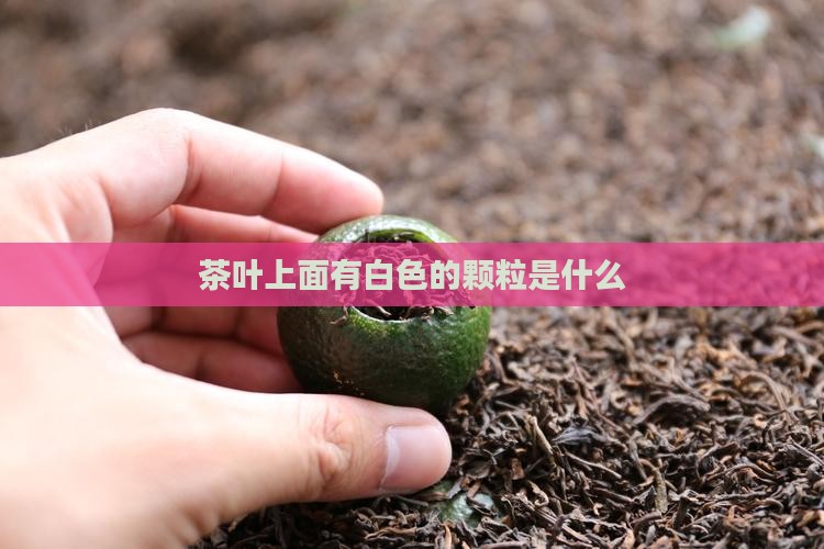 茶叶上面有白色的颗粒是什么