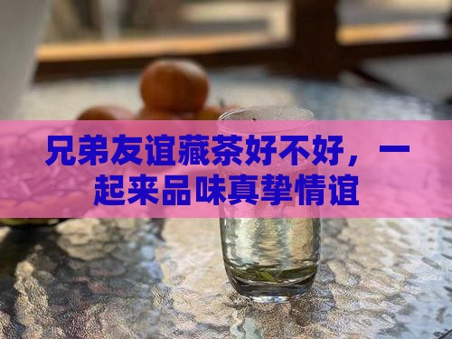 兄弟友谊藏茶好不好，一起来品味真挚情谊