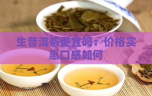 生普洱茶便宜吗：价格实惠口感如何