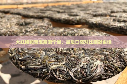 大红袍和普洱茶哪个贵，品质口感对比哪款更佳
