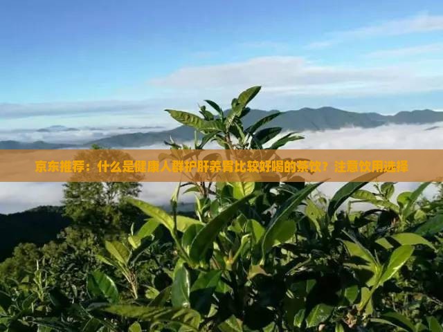 京东推荐：什么是健康人群护肝养胃比较好喝的茶饮？注意饮用选择