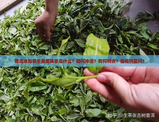 普洱冰岛茶生茶龙珠茶是什么？如何冲泡？有何特点？值得购买吗？