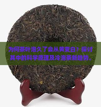 为何茶叶泡久了会从黄变白？探讨其中的科学原理及冷泡茶新趋势。
