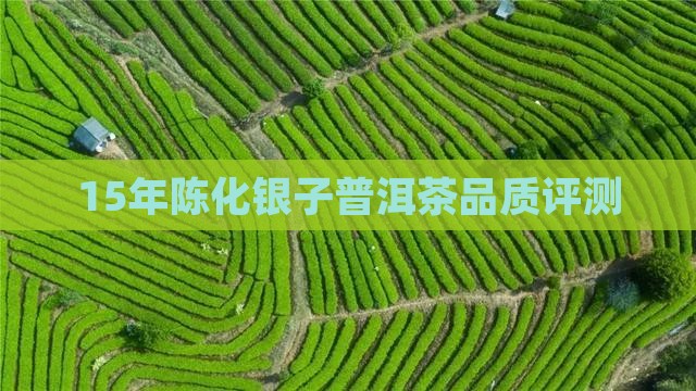 15年陈化银子普洱茶品质评测