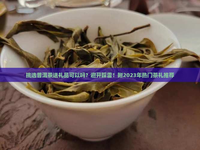 挑选普洱茶送礼品可以吗？避开踩雷！附2023年热门茶礼推荐