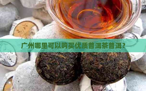 广州哪里可以购买优质普洱茶普洱？