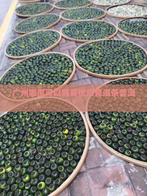 广州哪里可以购买优质普洱茶普洱？