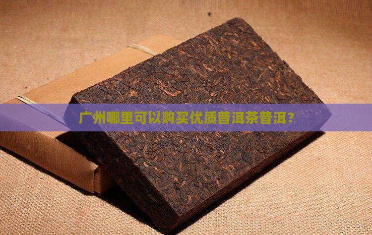 广州哪里可以购买优质普洱茶普洱？
