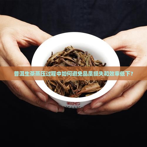 普洱生茶蒸压过程中如何避免品质损失和效率低下？