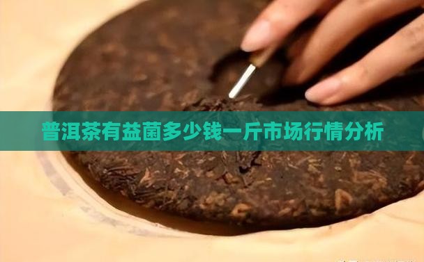 普洱茶有益菌多少钱一斤市场行情分析