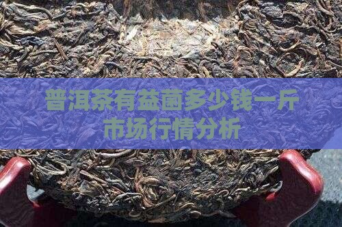 普洱茶有益菌多少钱一斤市场行情分析