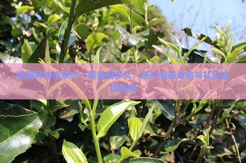 玻璃杯冲泡茶叶一般能用多久：茶杯泡茶寿命与礼品选择指南