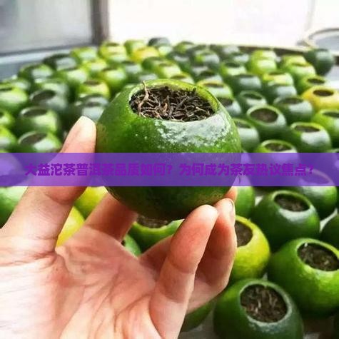 大益沱茶普洱茶品质如何？为何成为茶友热议焦点？