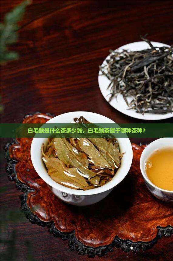 白毛猴是什么茶多少钱，白毛猴茶属于哪种茶种？