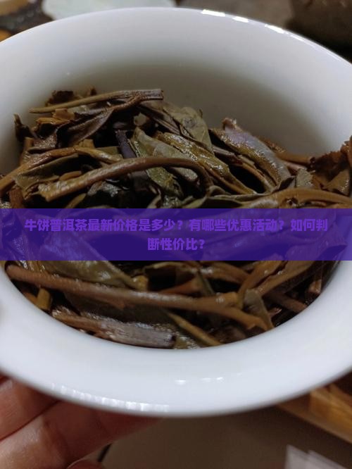 牛饼普洱茶最新价格是多少？有哪些优惠活动？如何判断性价比？